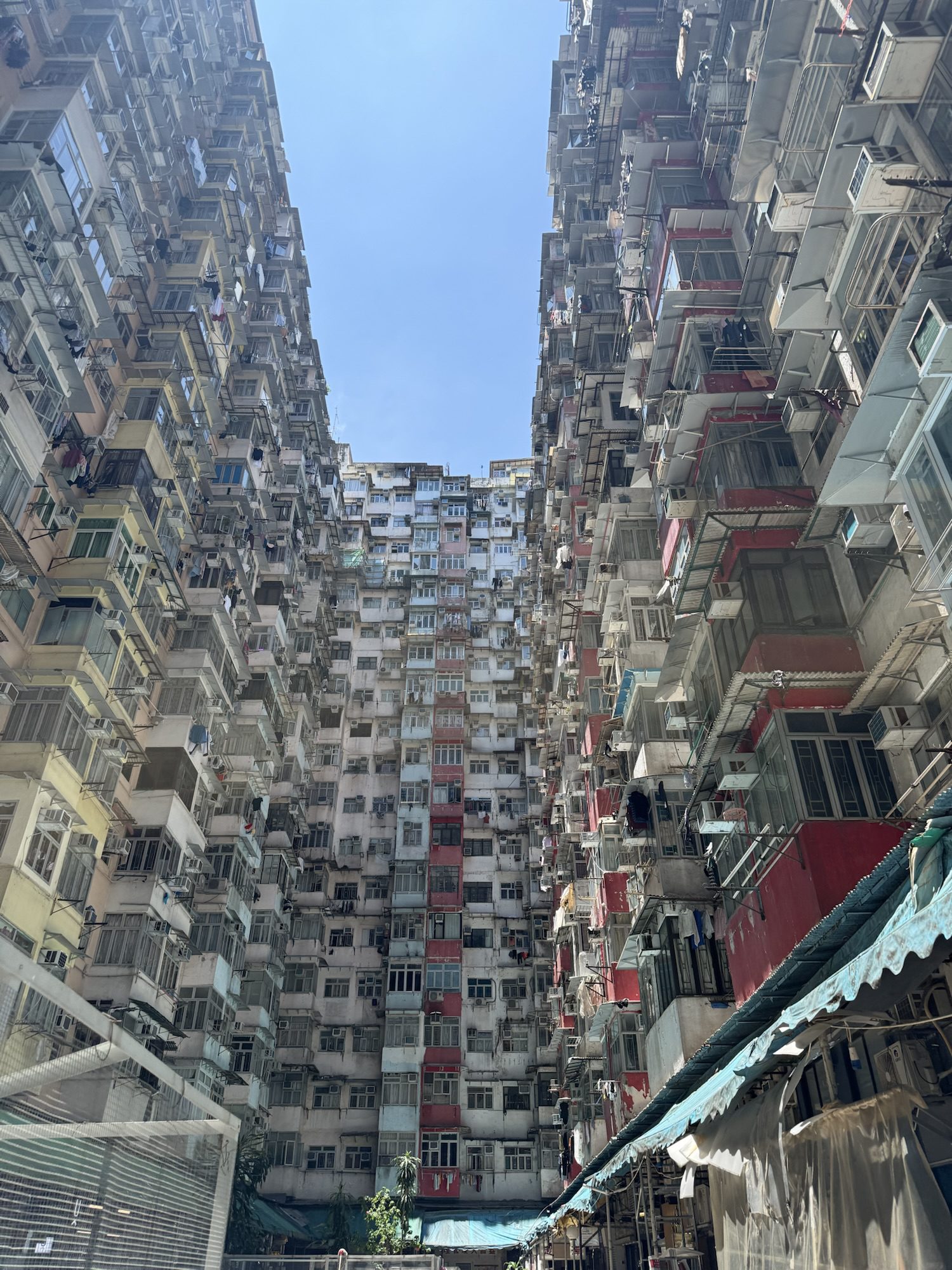 홍콩도심투어! 익청빌딩, 아라비카 커피, 제니베이커리까지