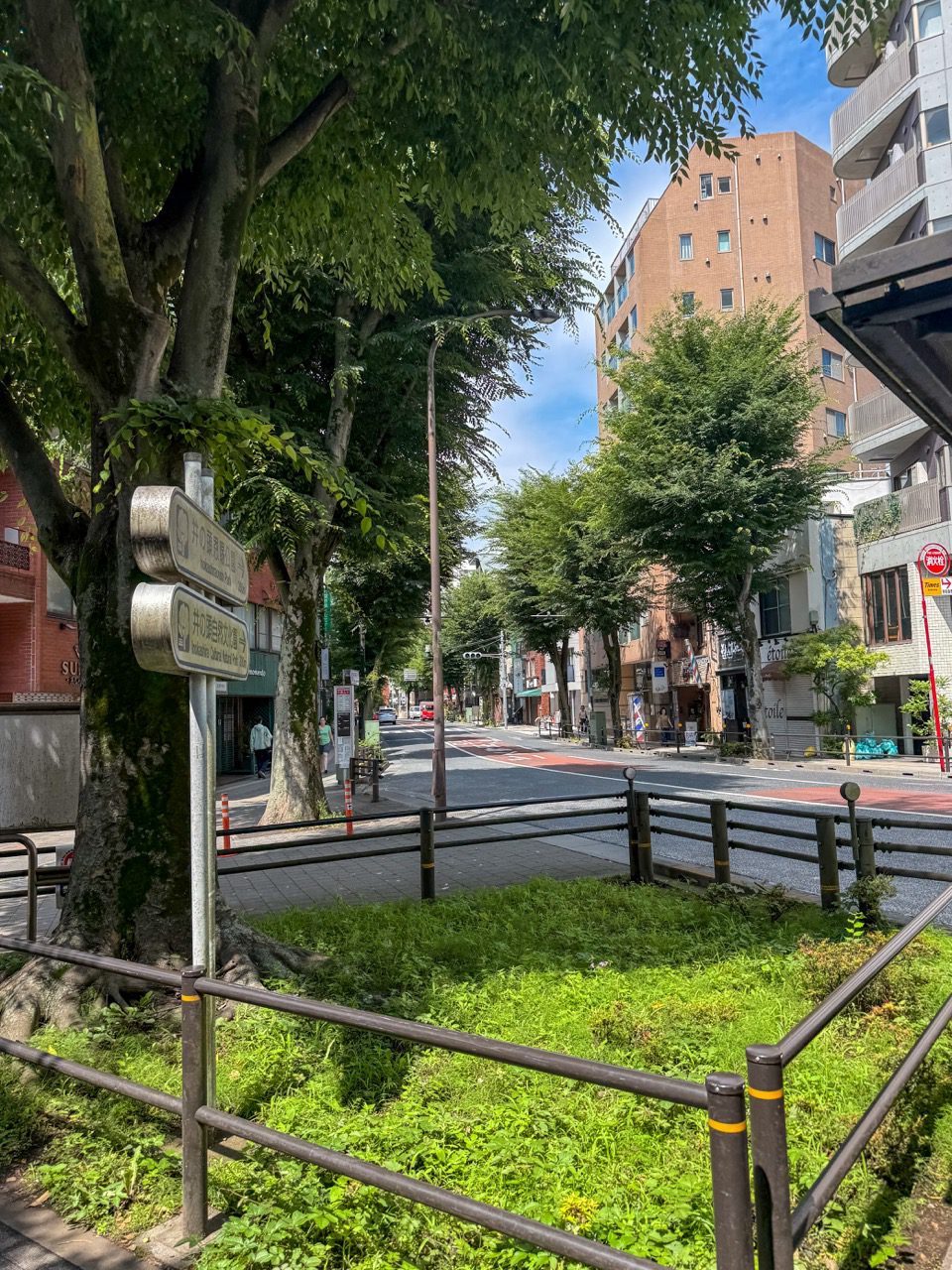 살고 싶은 동네 1위, 도쿄 기치조지 (이노카시라공원, 인생 도쿄만두맛집)